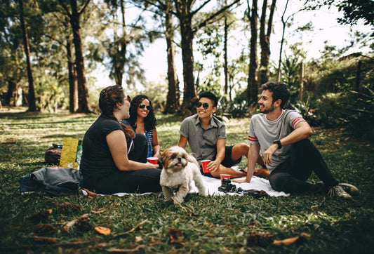 friends in park 
