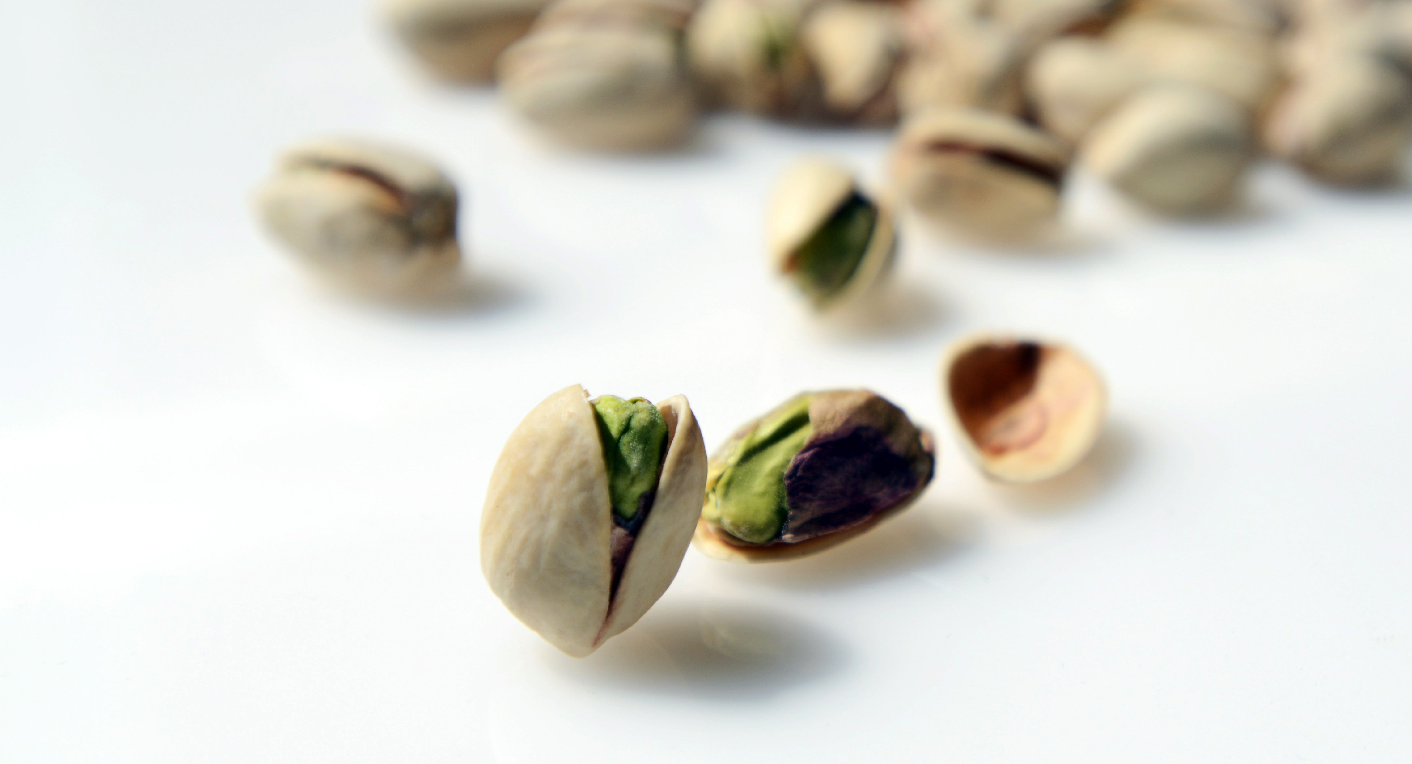 no one does It  better than Fastachi