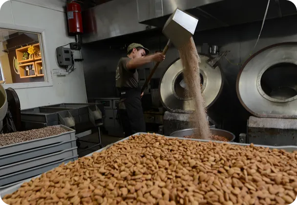 Hand-roasting nuts in a traditional roasting pan at Fastachi